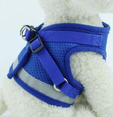 Dog Harness And Leash Set Hunde Gürtel in mehreren Farben