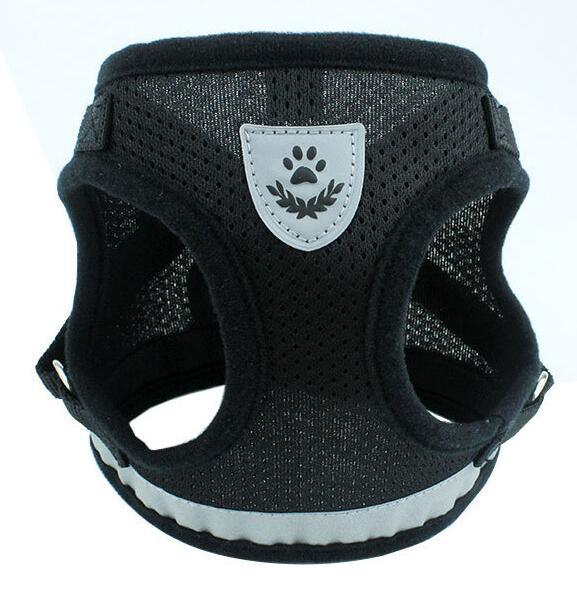 Dog Harness And Leash Set Hunde Gürtel in mehreren Farben