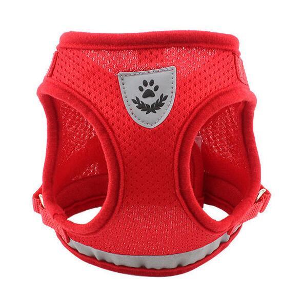 Dog Harness And Leash Set Hunde Gürtel in mehreren Farben