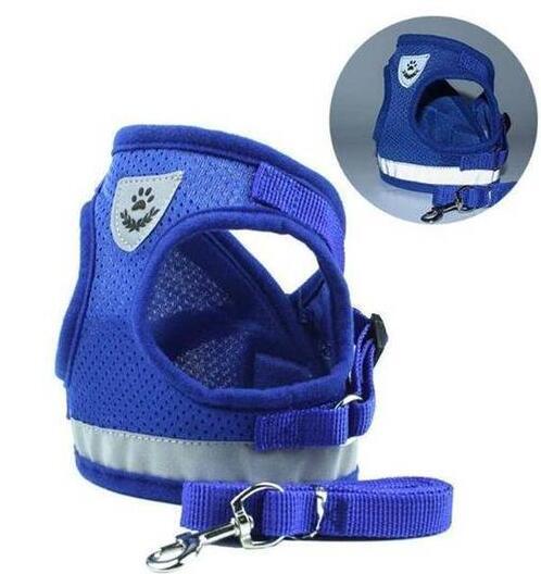Dog Harness And Leash Set Hunde Gürtel in mehreren Farben
