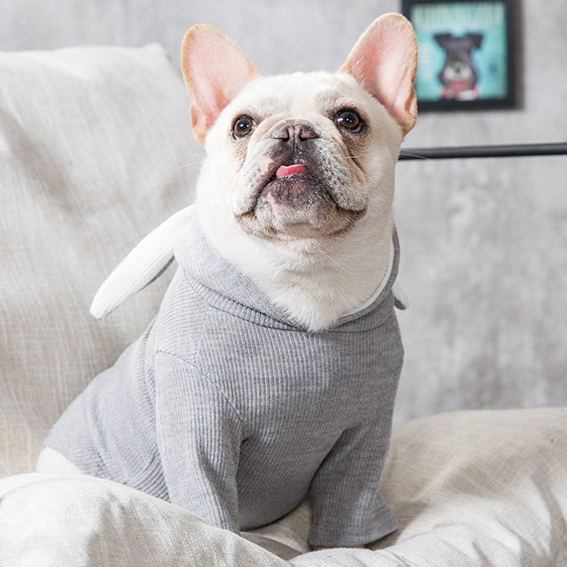 Dog Pet Clothing Spring and Autumn Clothing