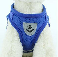 Dog Harness And Leash Set Hunde Gürtel in mehreren Farben