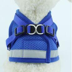 Dog Harness And Leash Set Hunde Gürtel in mehreren Farben