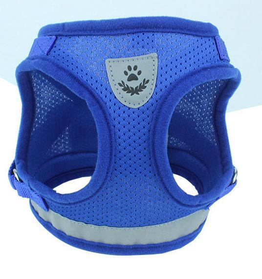 Dog Harness And Leash Set Hunde Gürtel in mehreren Farben