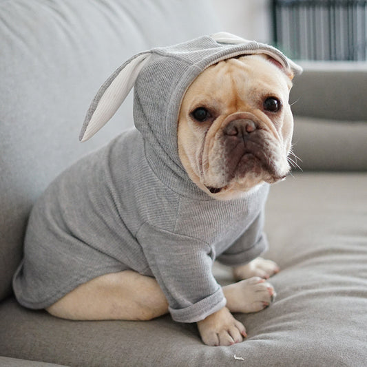 Dog Pet Clothing Spring and Autumn Clothing