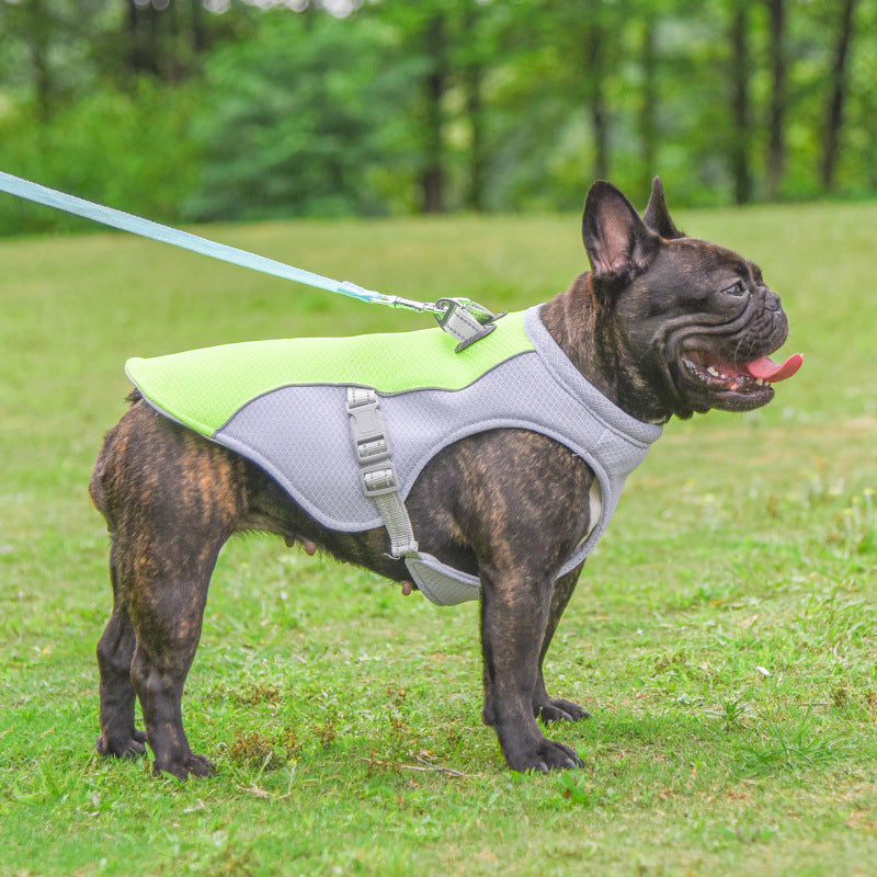 WalkingSummer cooling vest for dogs, heat resistant, cool dog clothes, breathable, sun resistant, for small and large dogs