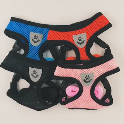 Dog Harness And Leash Set Hunde Gürtel in mehreren Farben