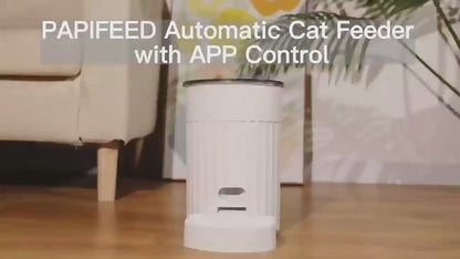 Cat Automatic Pet Feeder Intelligence